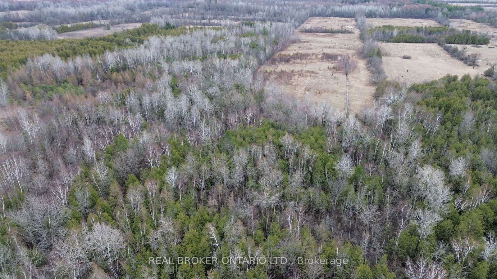 Lot 1 Kennedy Road • North Grenville, ON photo 4