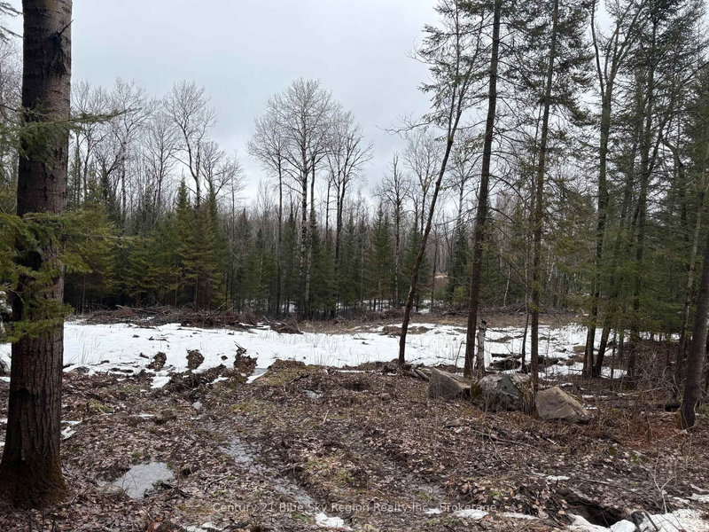 PT E1/2 Hillcrest Rd, East Ferris, P0H 1B0 | Image 2