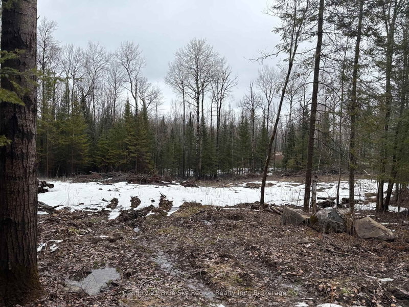 PT E1/2 Hillcrest Rd, East Ferris, P0H 1B0 | Image 3