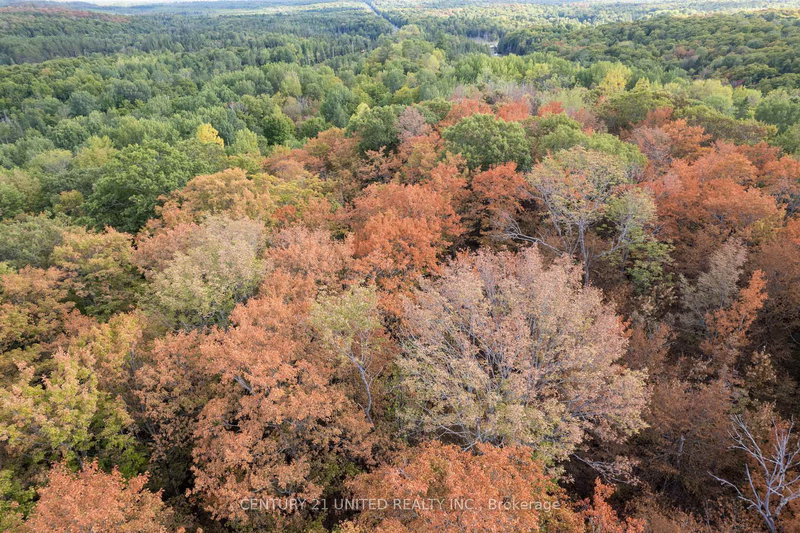 23 Rusaw Rd, North Kawartha, K0L 1A0 | Image 2