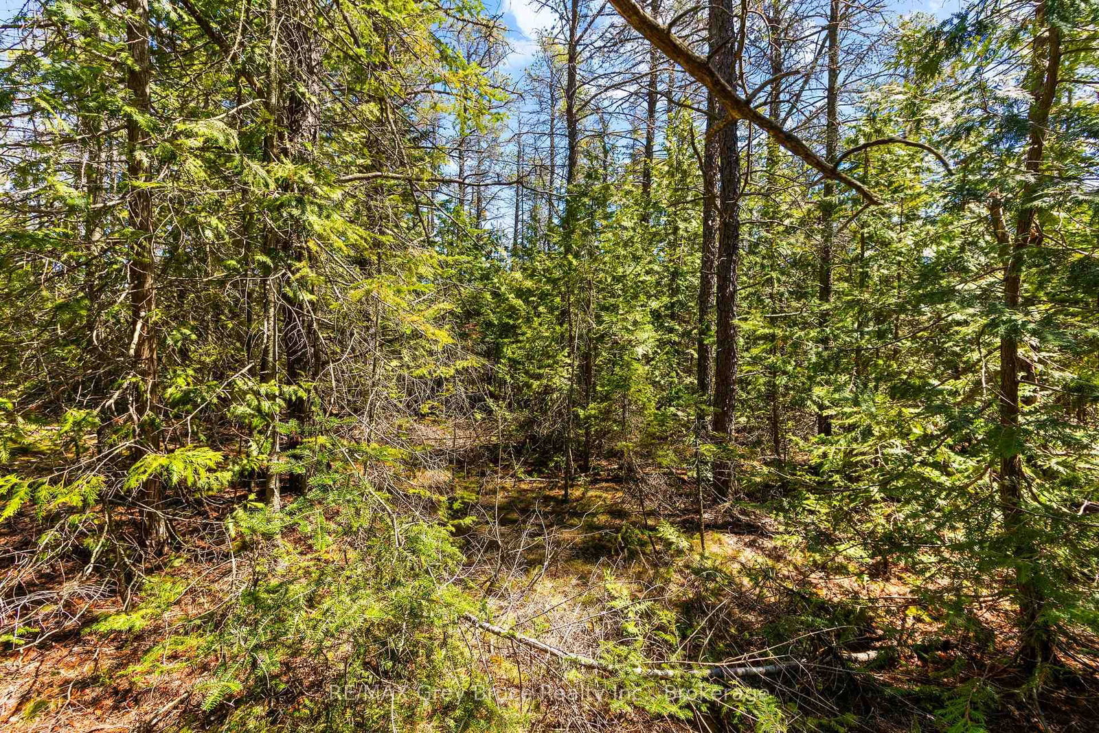 LOT 12 Willow Creek Crescent • Northern Bruce Peninsula, ON photo 8