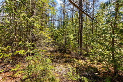 LOT 12 Willow Creek Crescent • Northern Bruce Peninsula, ON photo 8