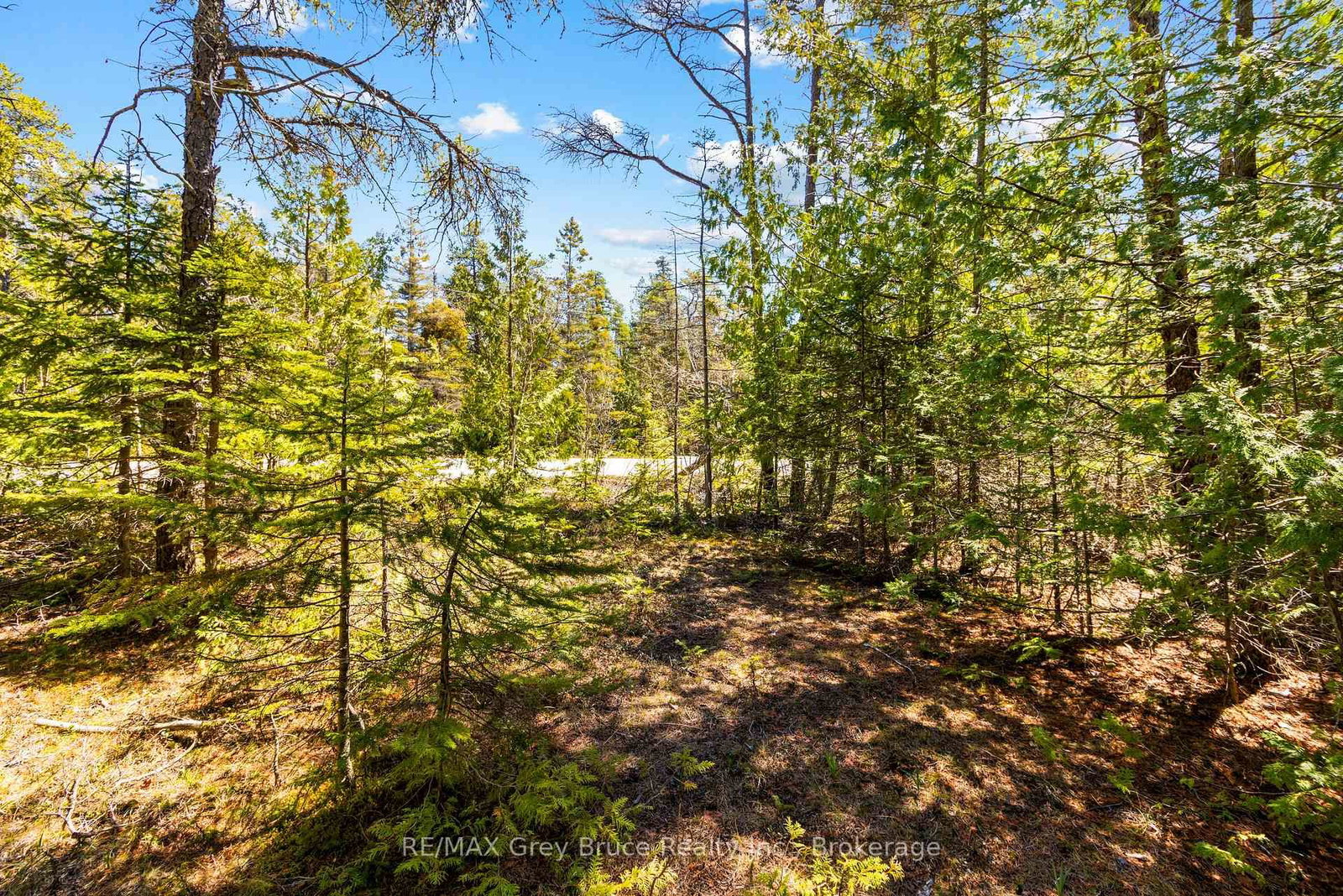 LOT 12 Willow Creek Crescent • Northern Bruce Peninsula, ON photo 9