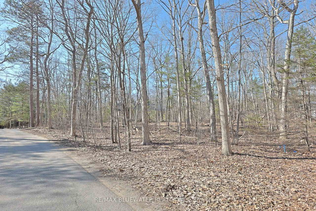 10296 Grand Oaks Drive