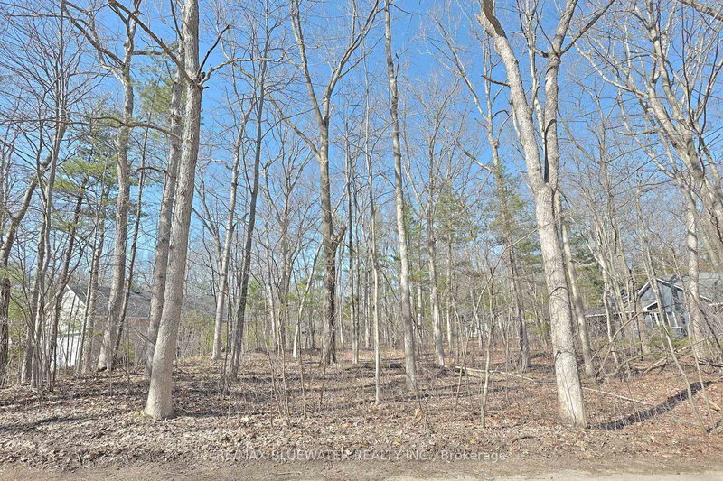 10296 Grand Oaks Dr, Lambton Shores, N0M 1T0 | Image 2