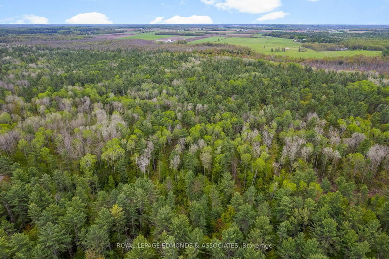 home for sale on 0000 Nangor Trail