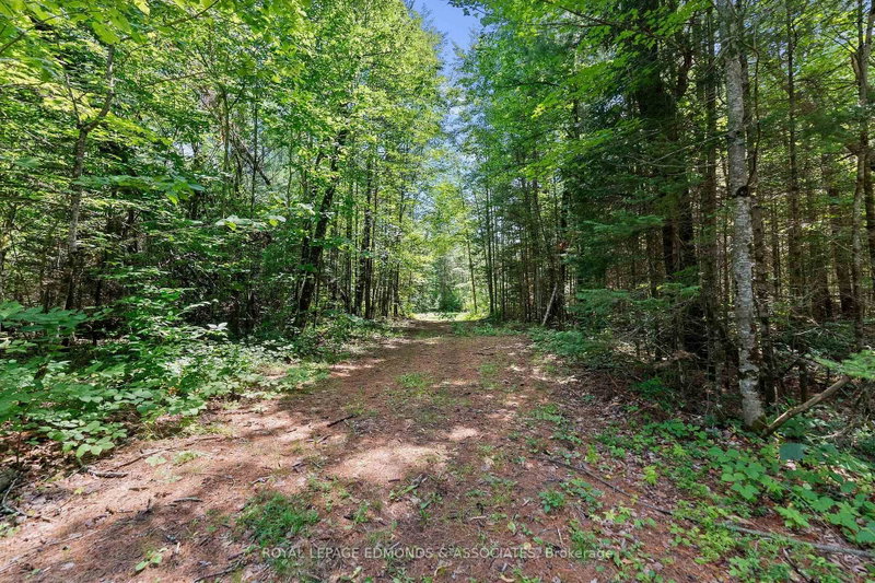 0000 Nangor Trail