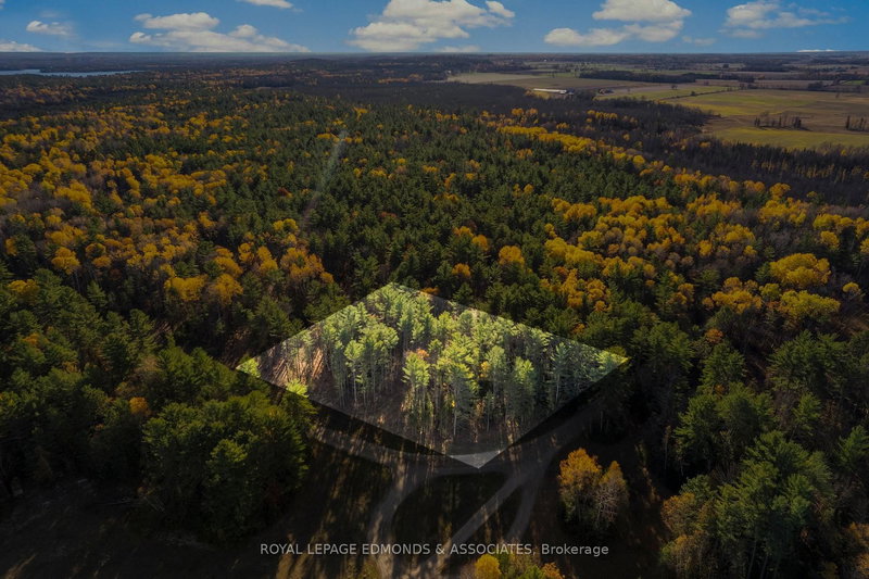 home for sale on 100 Nangor Trail