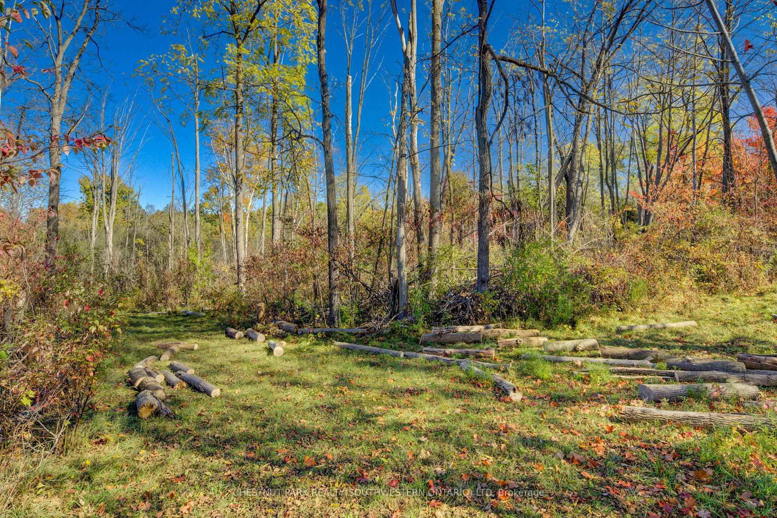 705 Eramosa Road - Photo 9