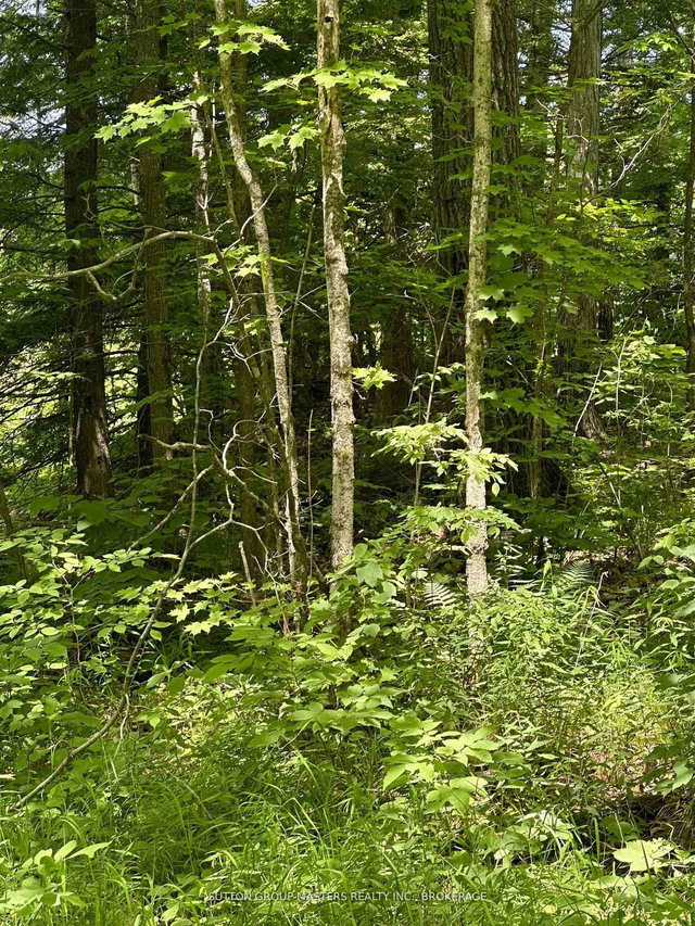 0 Maple Grove Lane E