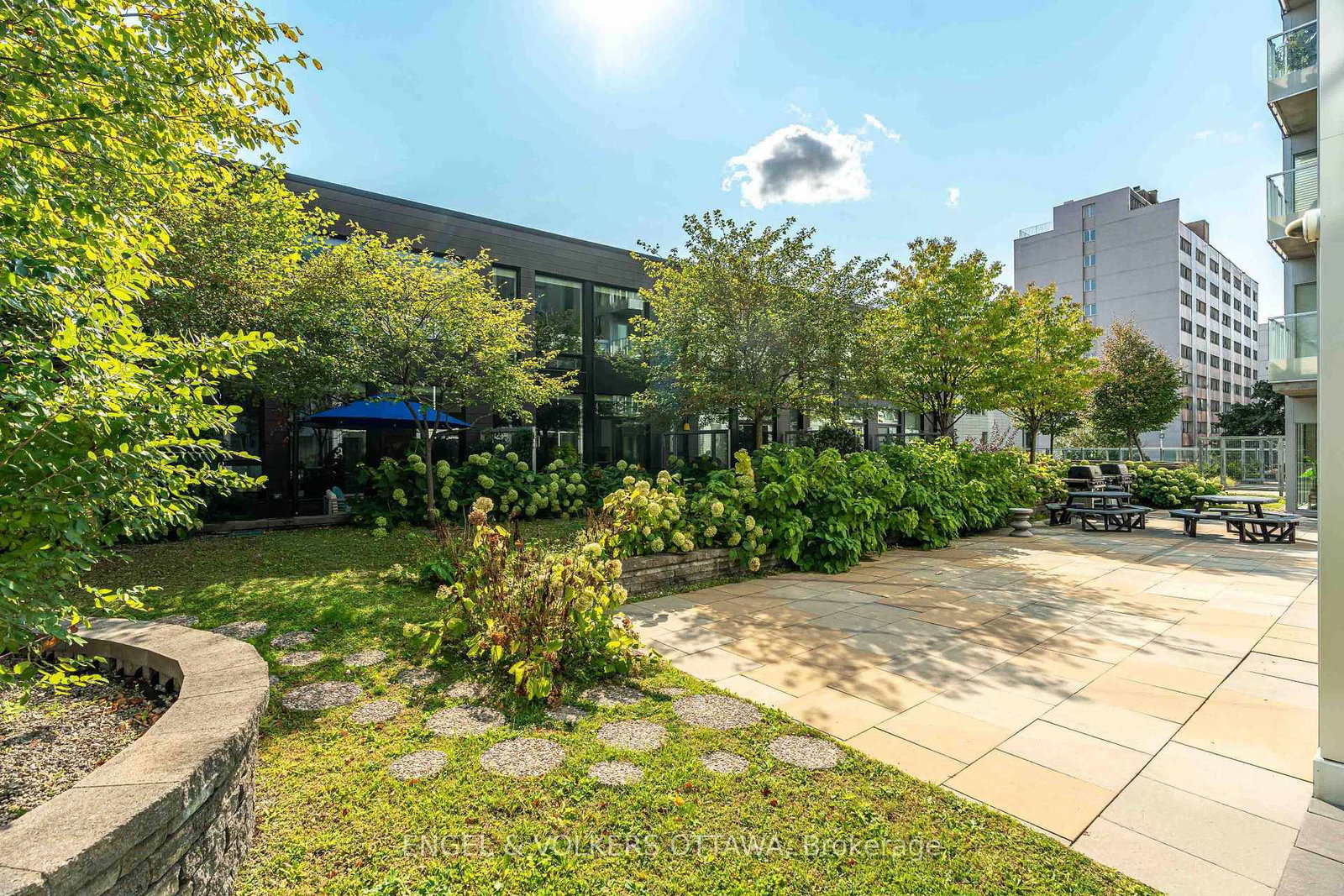 197 Lisgar Street, Unit 202 - Photo 32