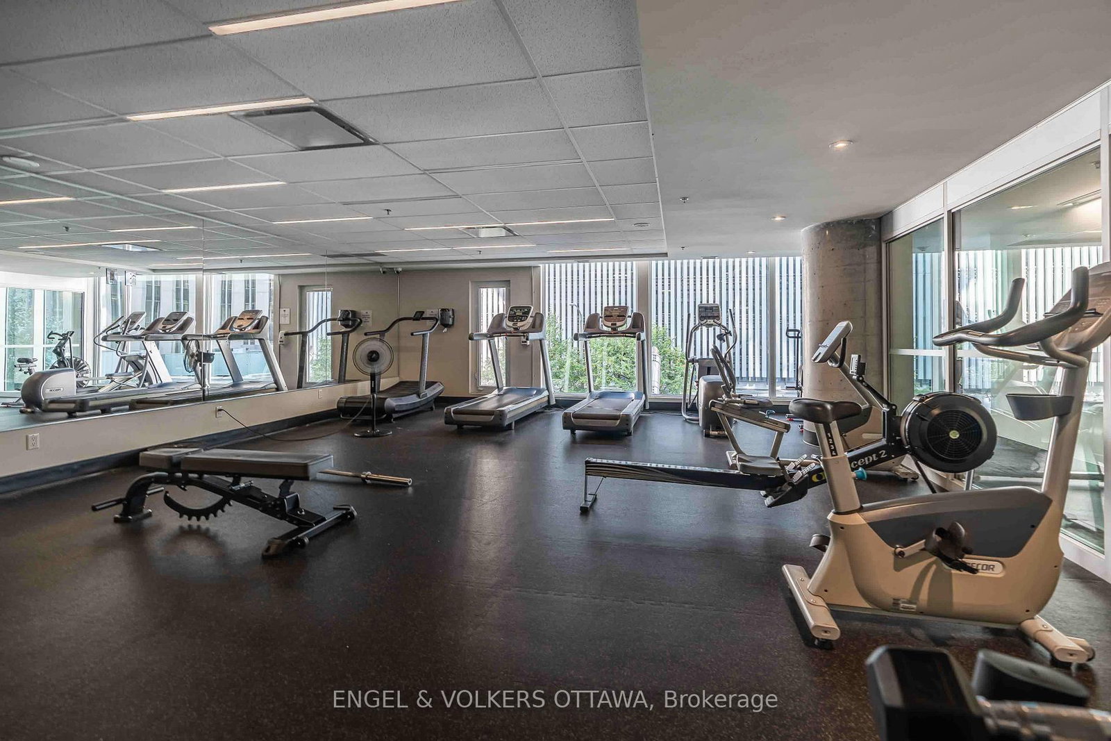 197 Lisgar Street, Unit 202 - Photo 39