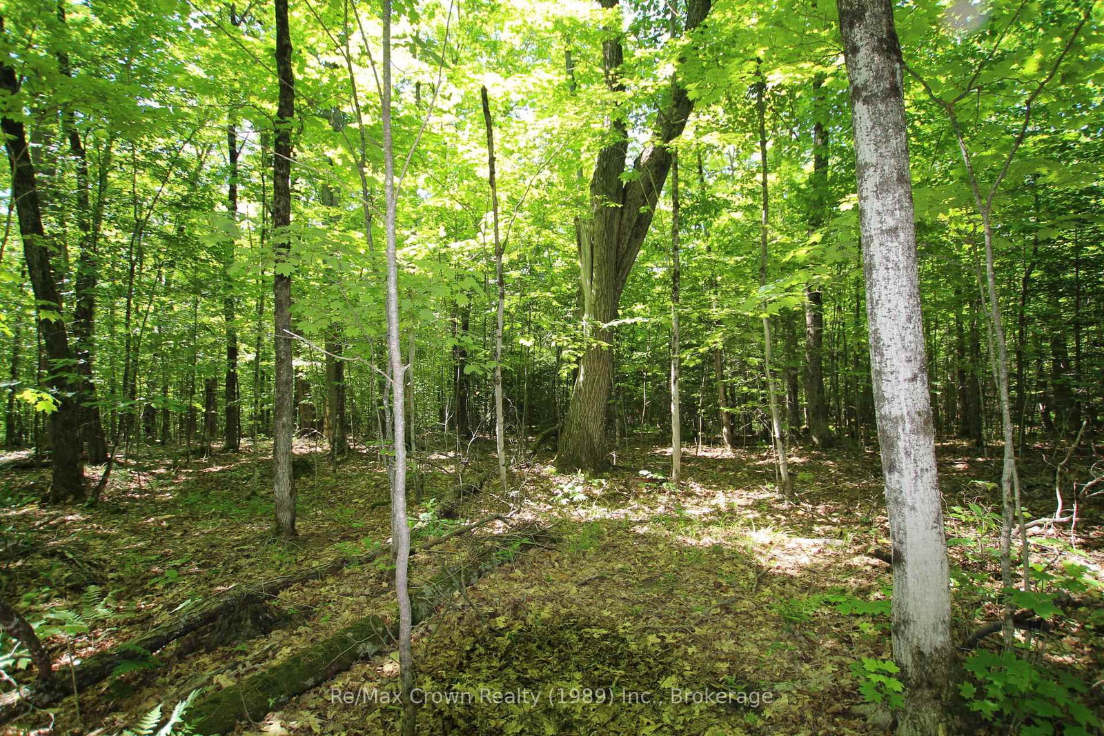 0 534 Highway • Parry Sound Remote Area, ON photo 10