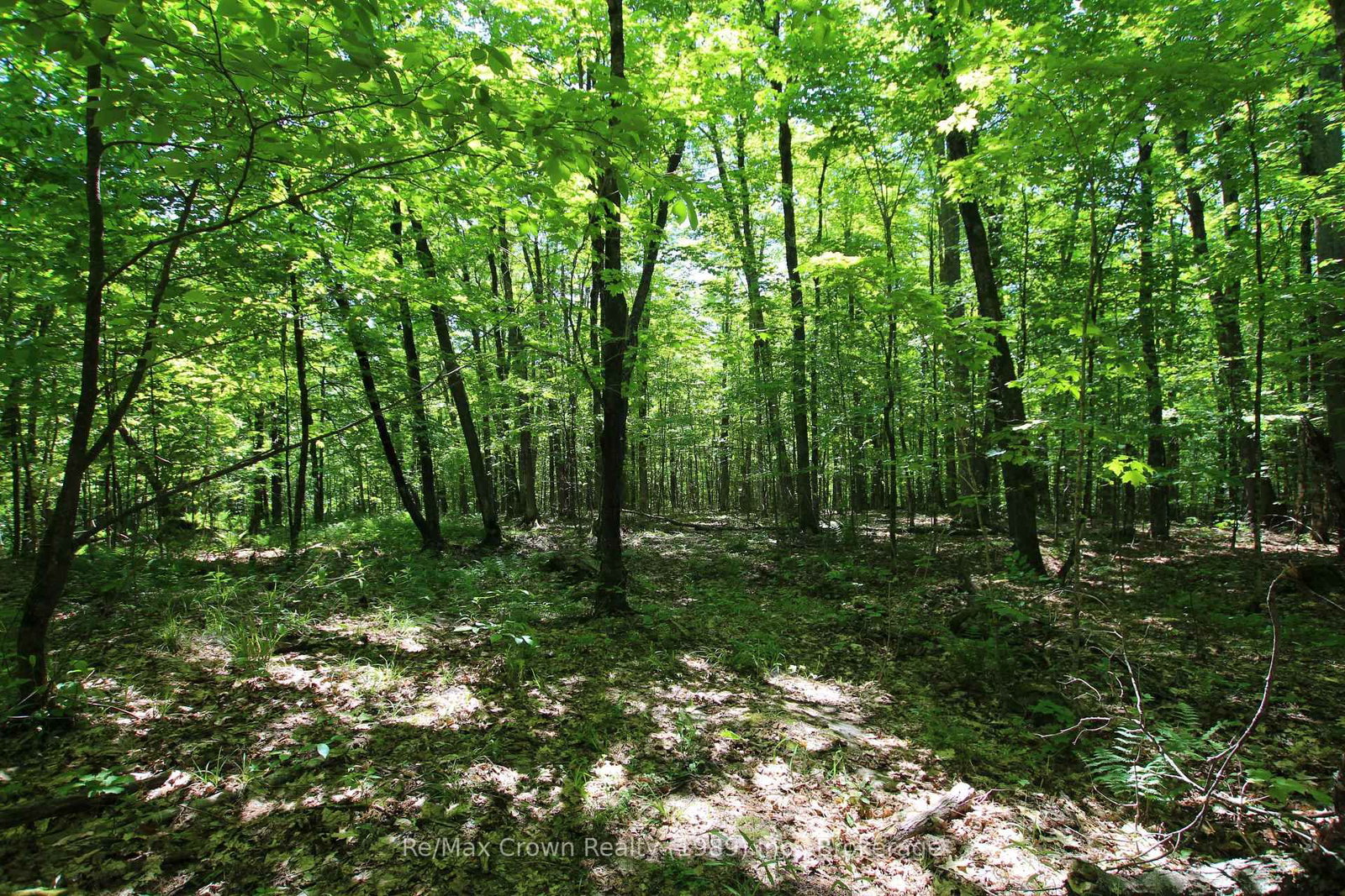 0 534 Highway • Parry Sound Remote Area, ON photo 11