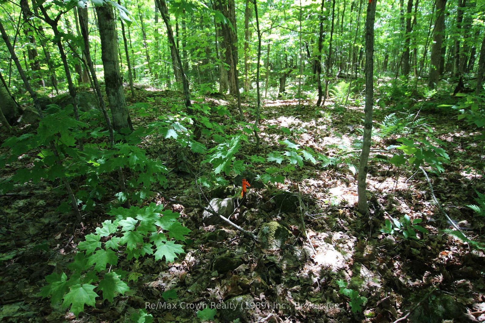 0 534 Highway • Parry Sound Remote Area, ON photo 13