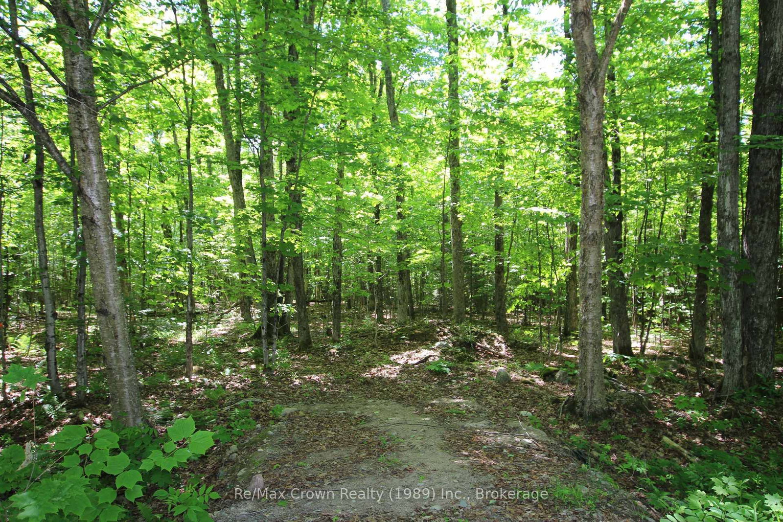 0 534 Highway • Parry Sound Remote Area, ON photo 15