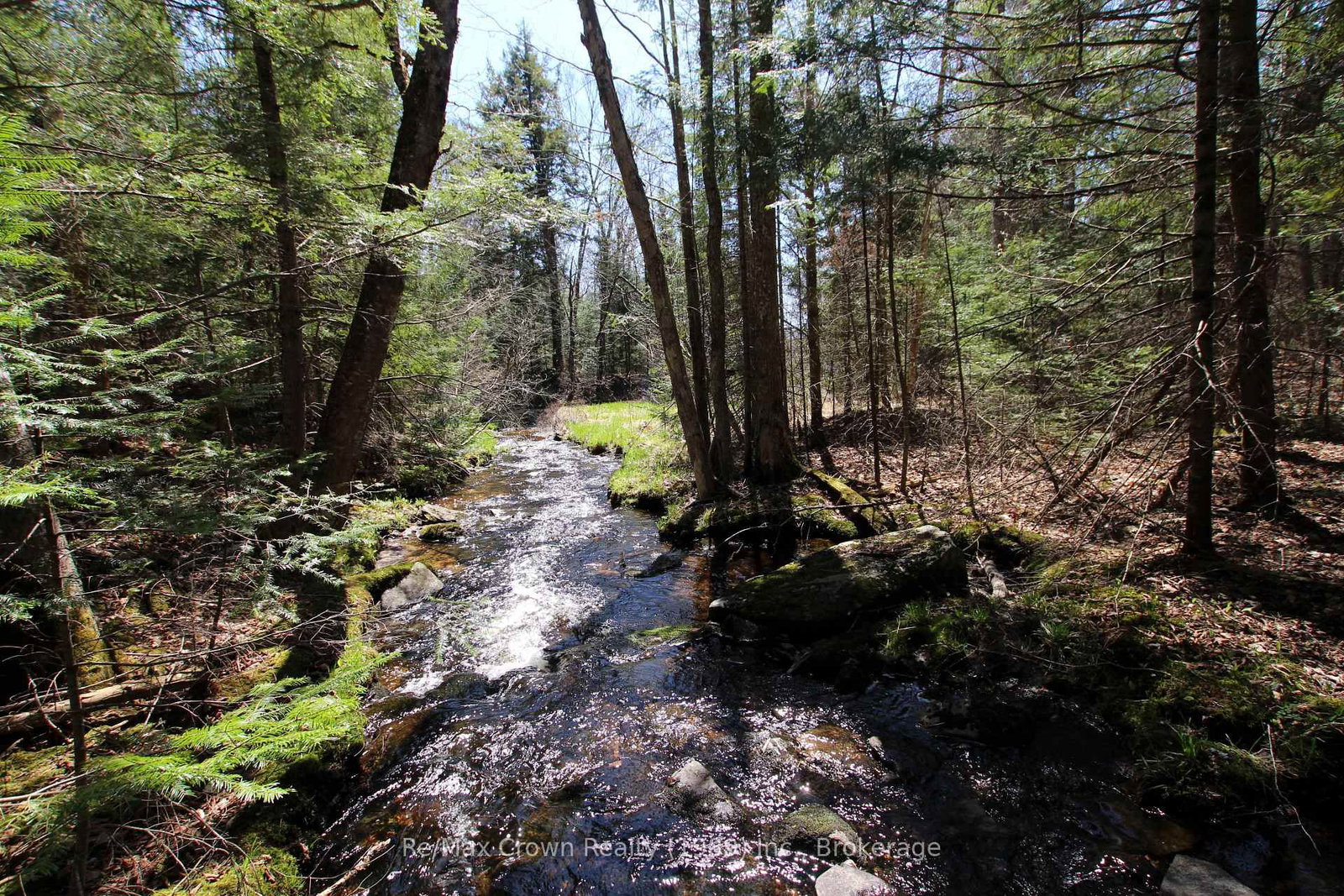 0 534 Highway • Parry Sound Remote Area, ON photo 3