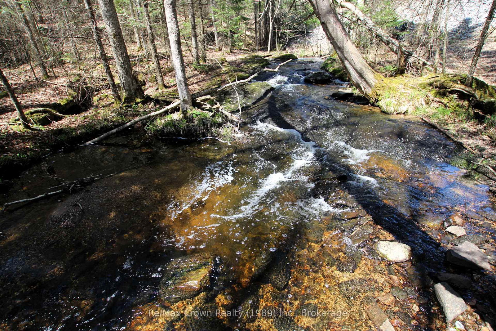 0 534 Highway • Parry Sound Remote Area, ON photo 4