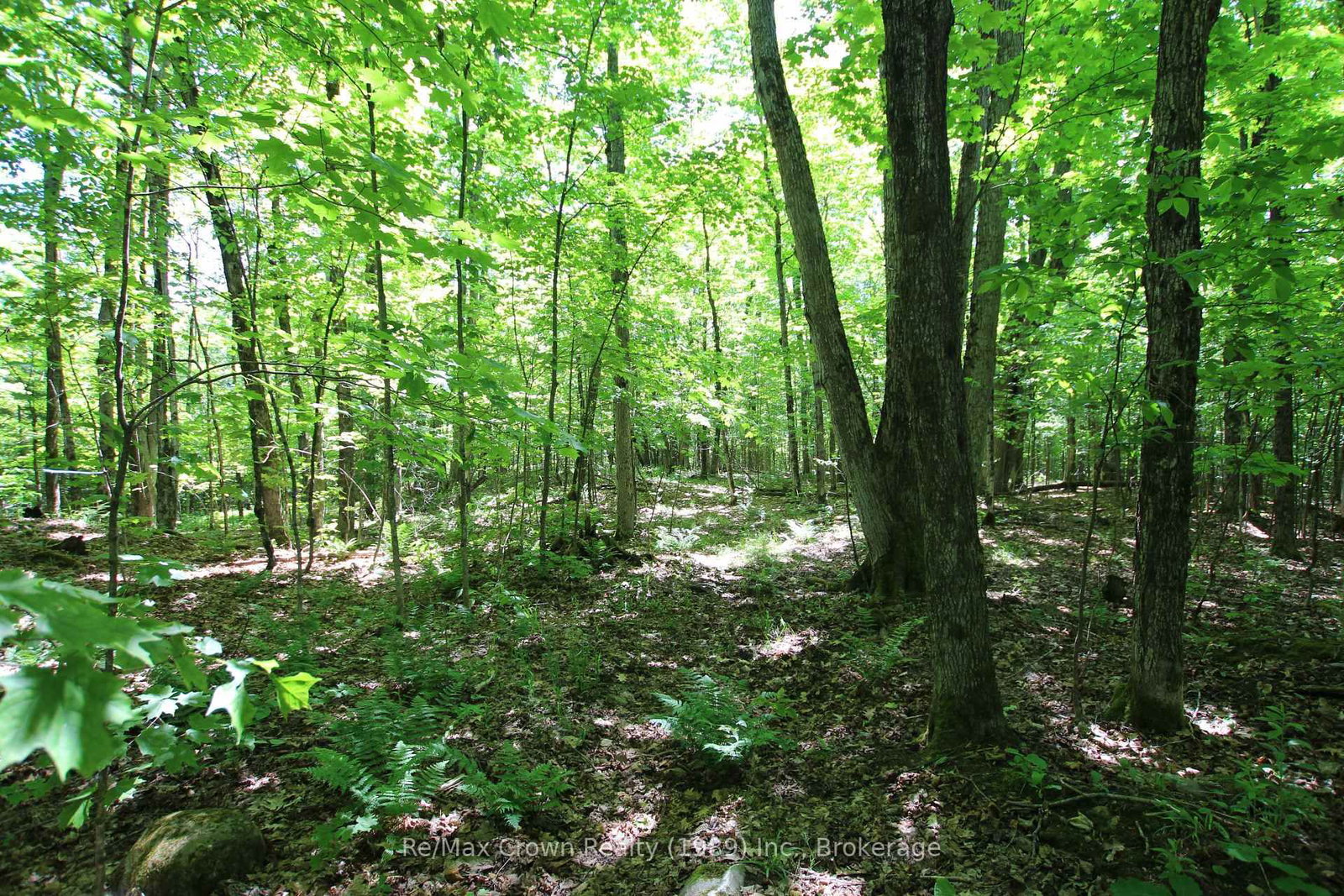 0 534 Highway • Parry Sound Remote Area, ON photo 9