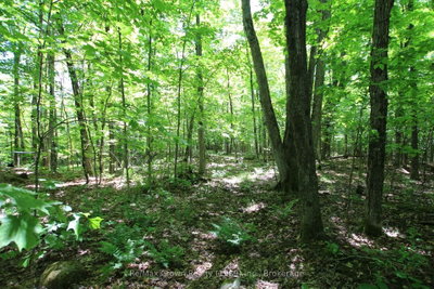0 534 Highway • Parry Sound Remote Area, ON photo 9
