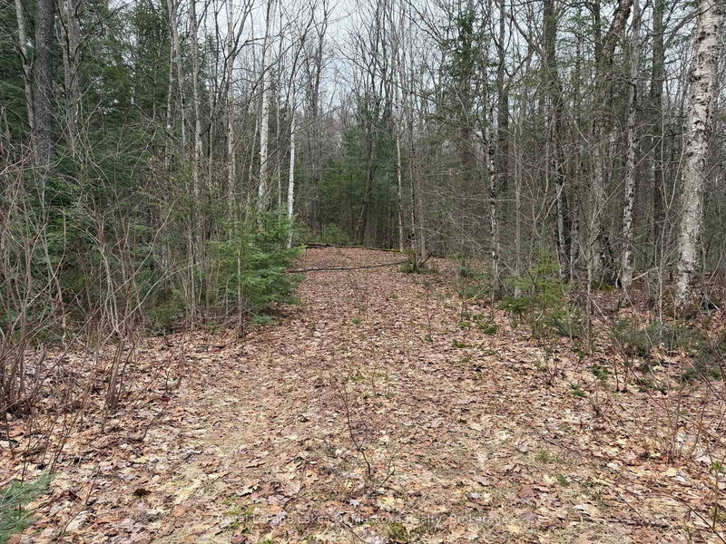 0 Stoney Rd, Burk's Falls, P0A 1C0 | Image 2