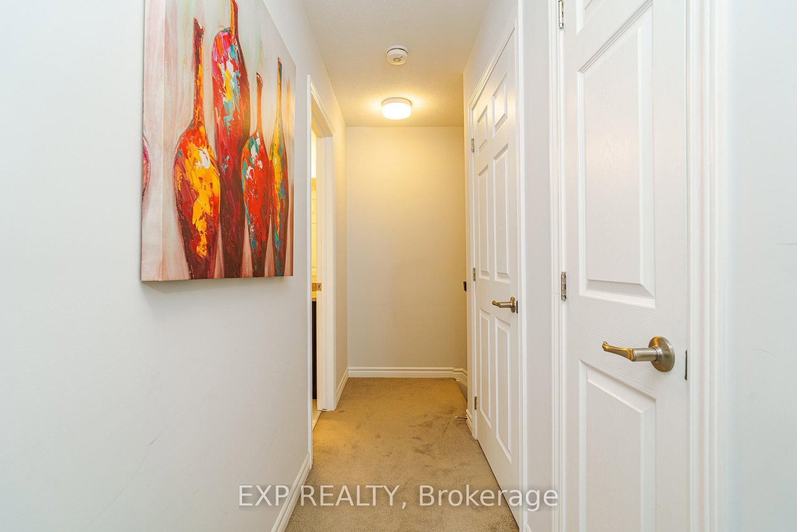 852 Atlas Terrace - Photo 18