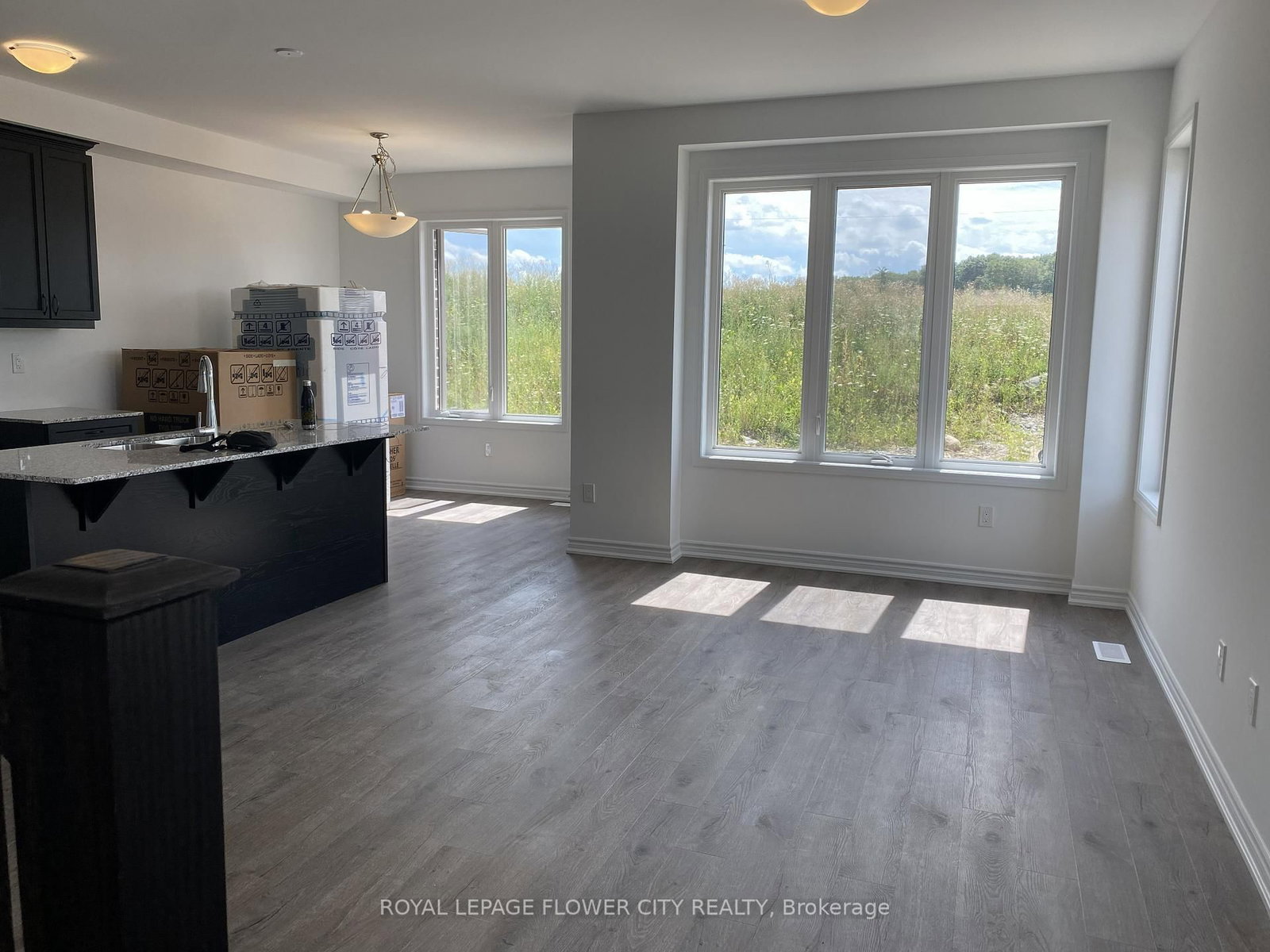 210 Histand Trail - Photo 5