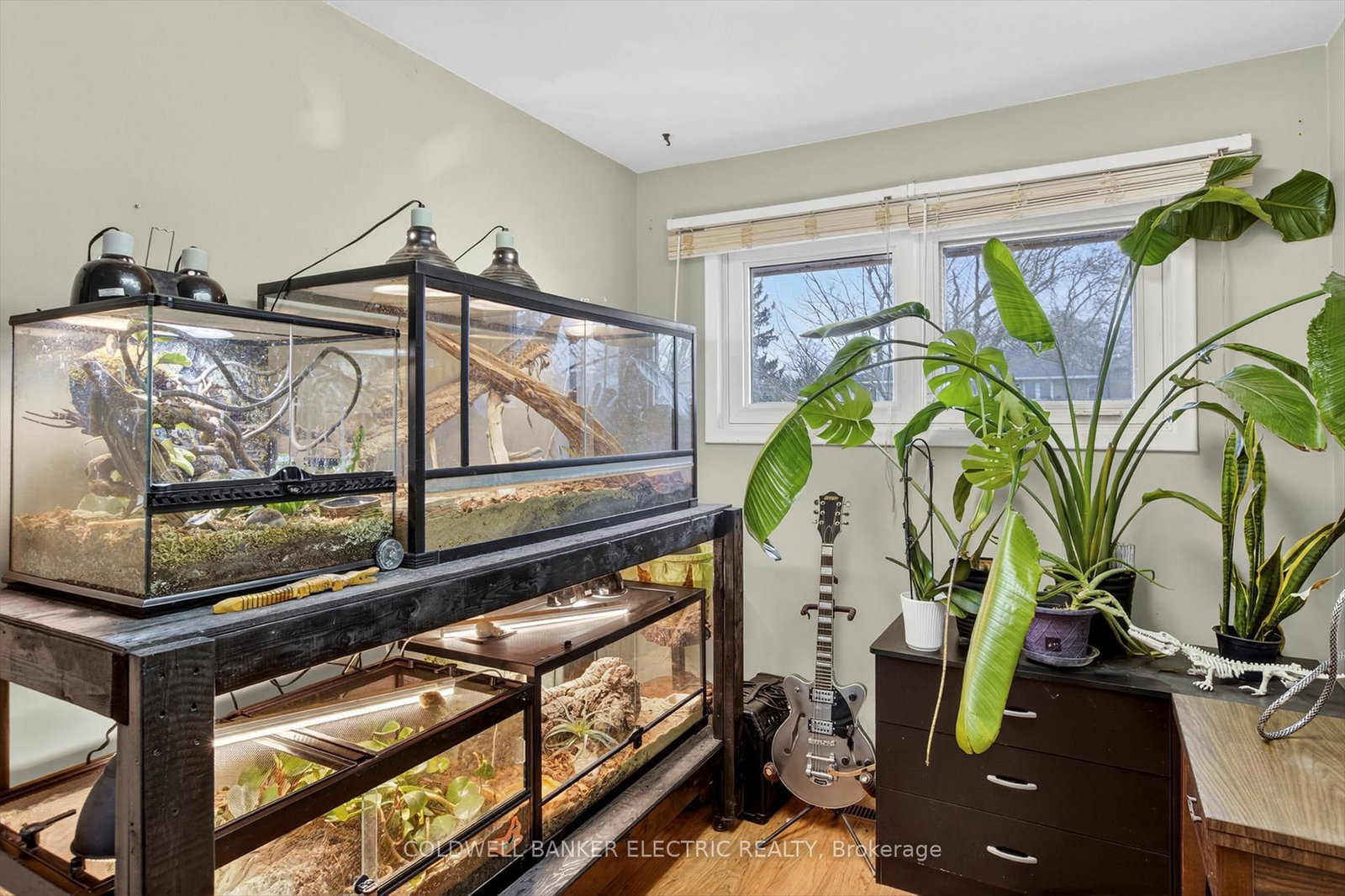 Detached House for sale at 250 Collison Crescent, Peterborough, Ontario, K9J 1A8 - Ashburnham Ward 4 - MLS: X13001214