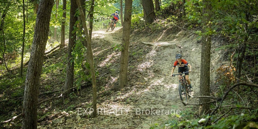 27 Rachel Drive - Photo 24