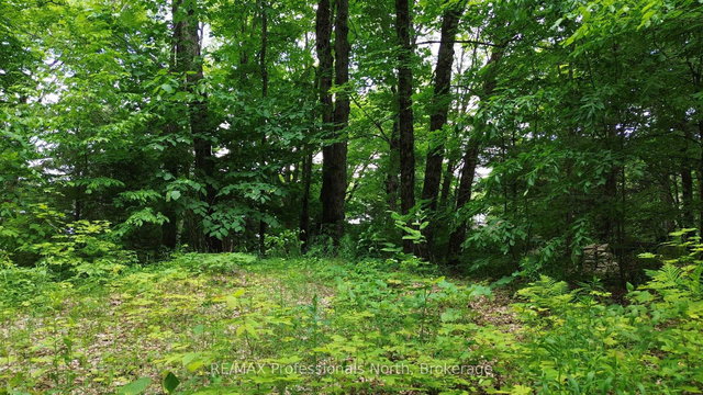 1012 Betula Crescent