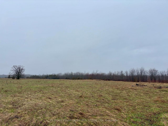 00 Mitchells Cross Road