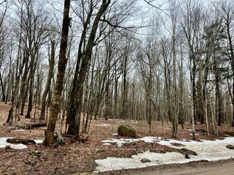 0 15th/16th Side Road