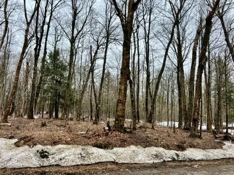 0 15th/16th Side Road