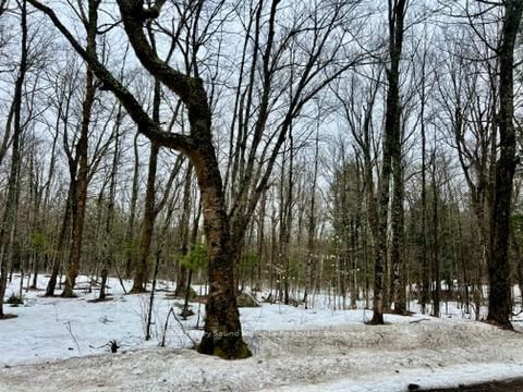 0 15th/16th Side Road