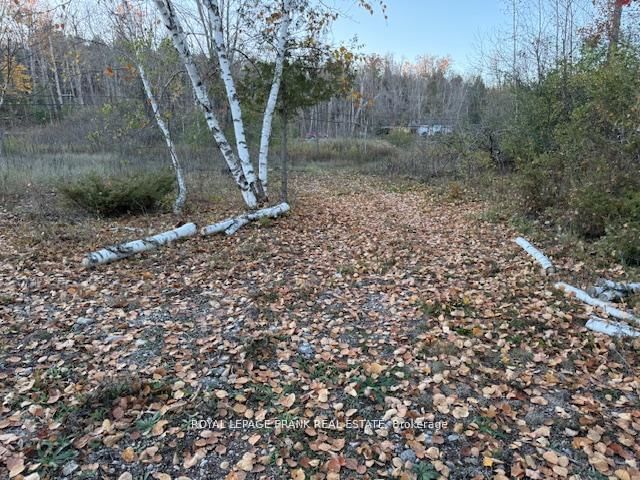 PT LT 20 Fire Route 121