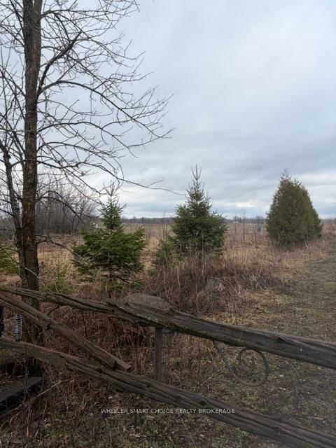 00000 North Lunenburg Rd, South Stormont, K0C 1R0 | Image 3