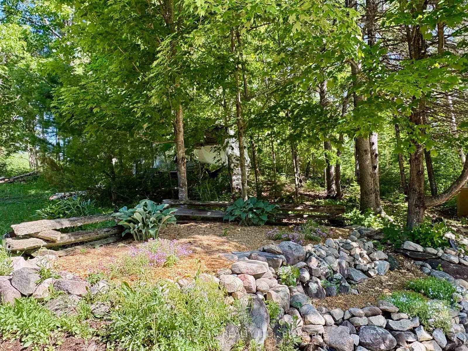 96 Addington Rd. 6 Road • Cloyne, ON photo 38