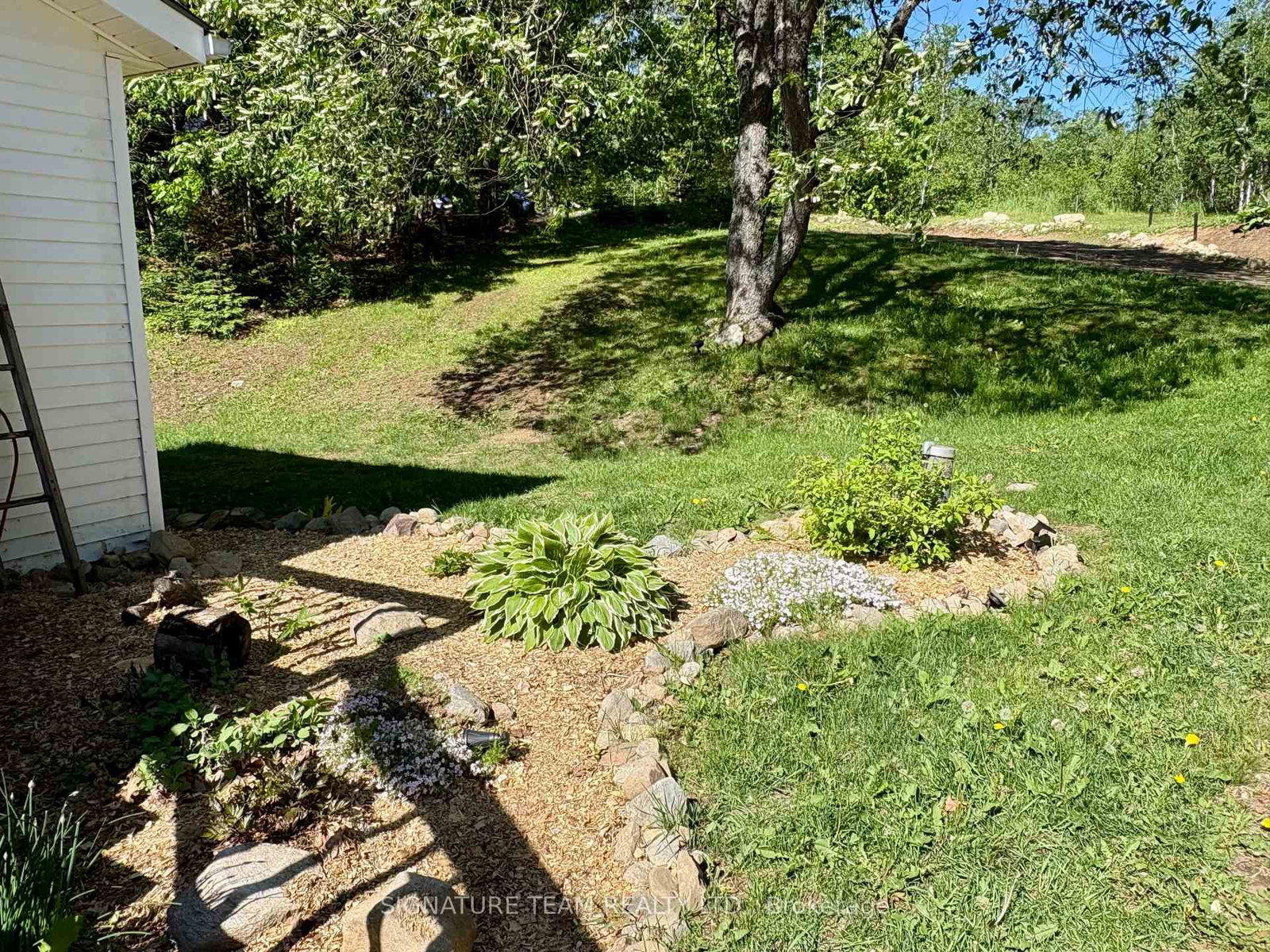 96 Addington Rd. 6 Road • Cloyne, ON photo 46