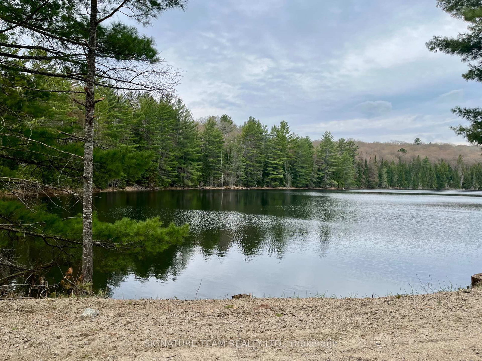 96 Addington Rd. 6 Road • Cloyne, ON photo 50
