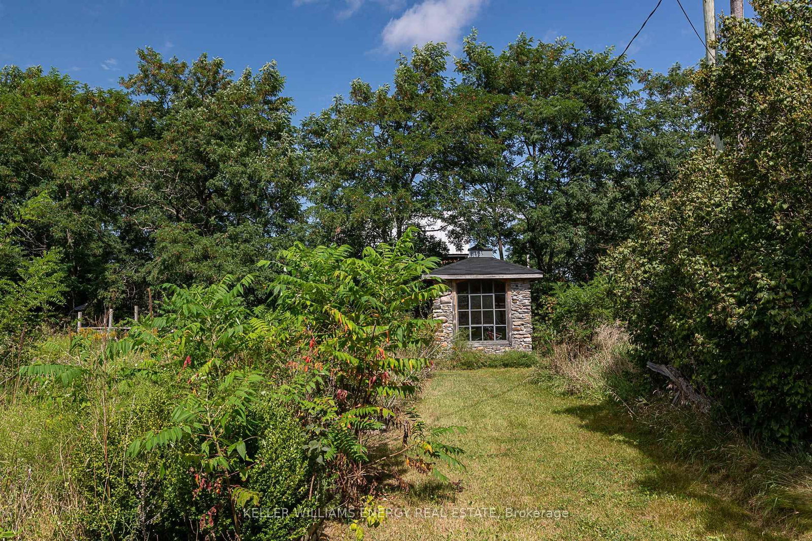 1637 Highway 62 • Prince Edward County, ON photo 33