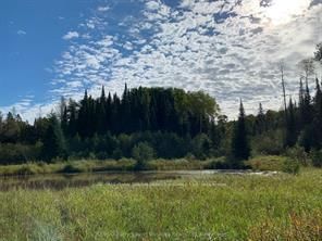 556 Highway 518 W • Perry, ON photo 18