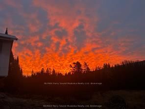 556 Highway 518 W • Perry, ON photo 8