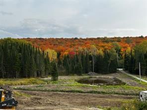 556 Highway 518 W • Perry, ON photo 9