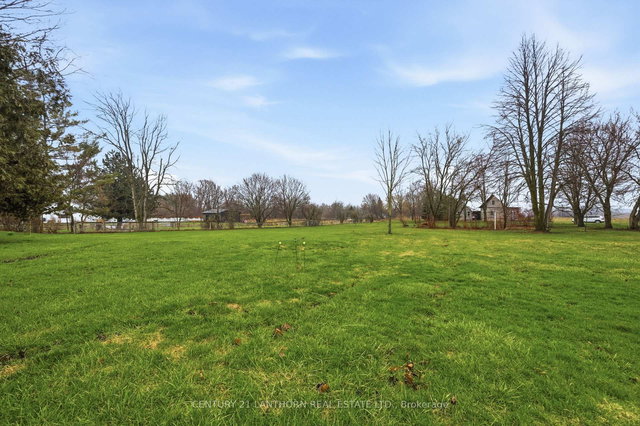 425 Bloomfield Main Street