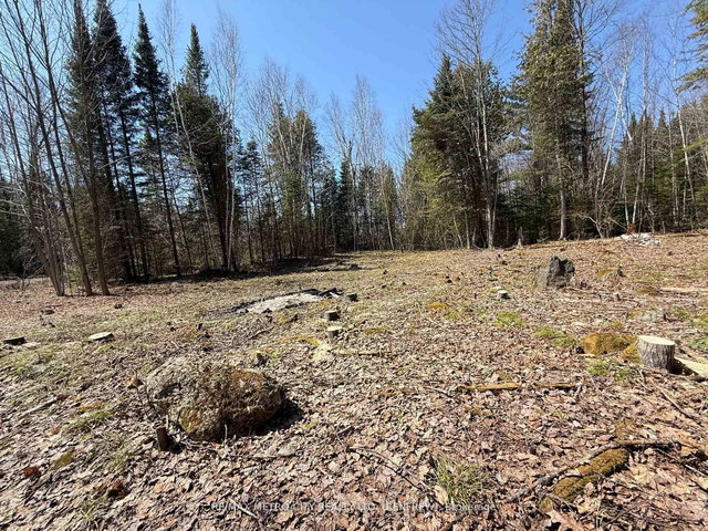 00 Garden of Eden Road