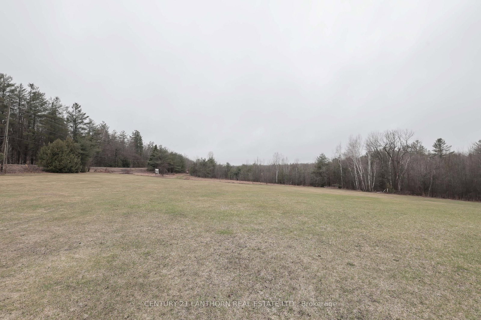 Listing Image 41