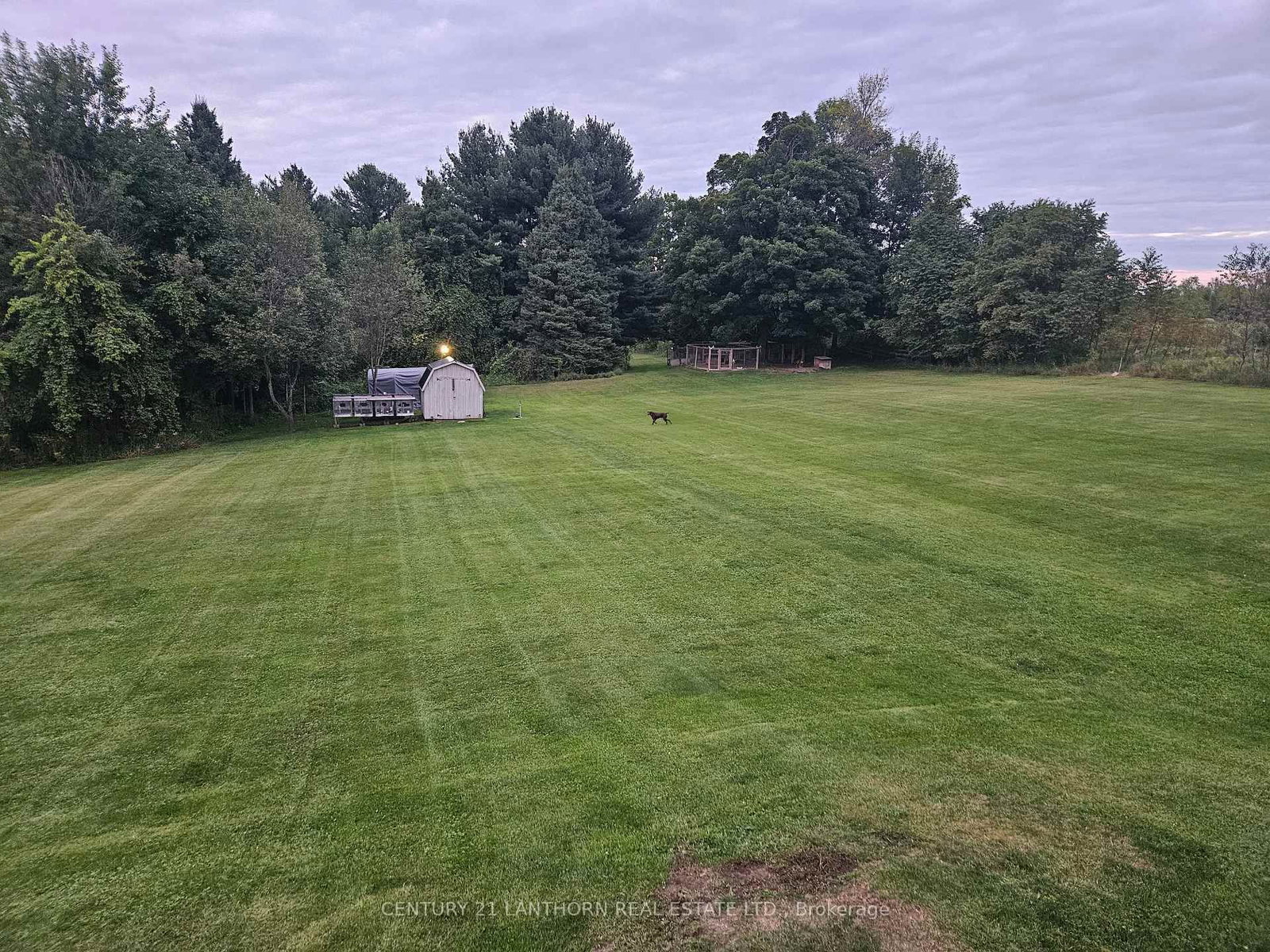 Listing Image 50