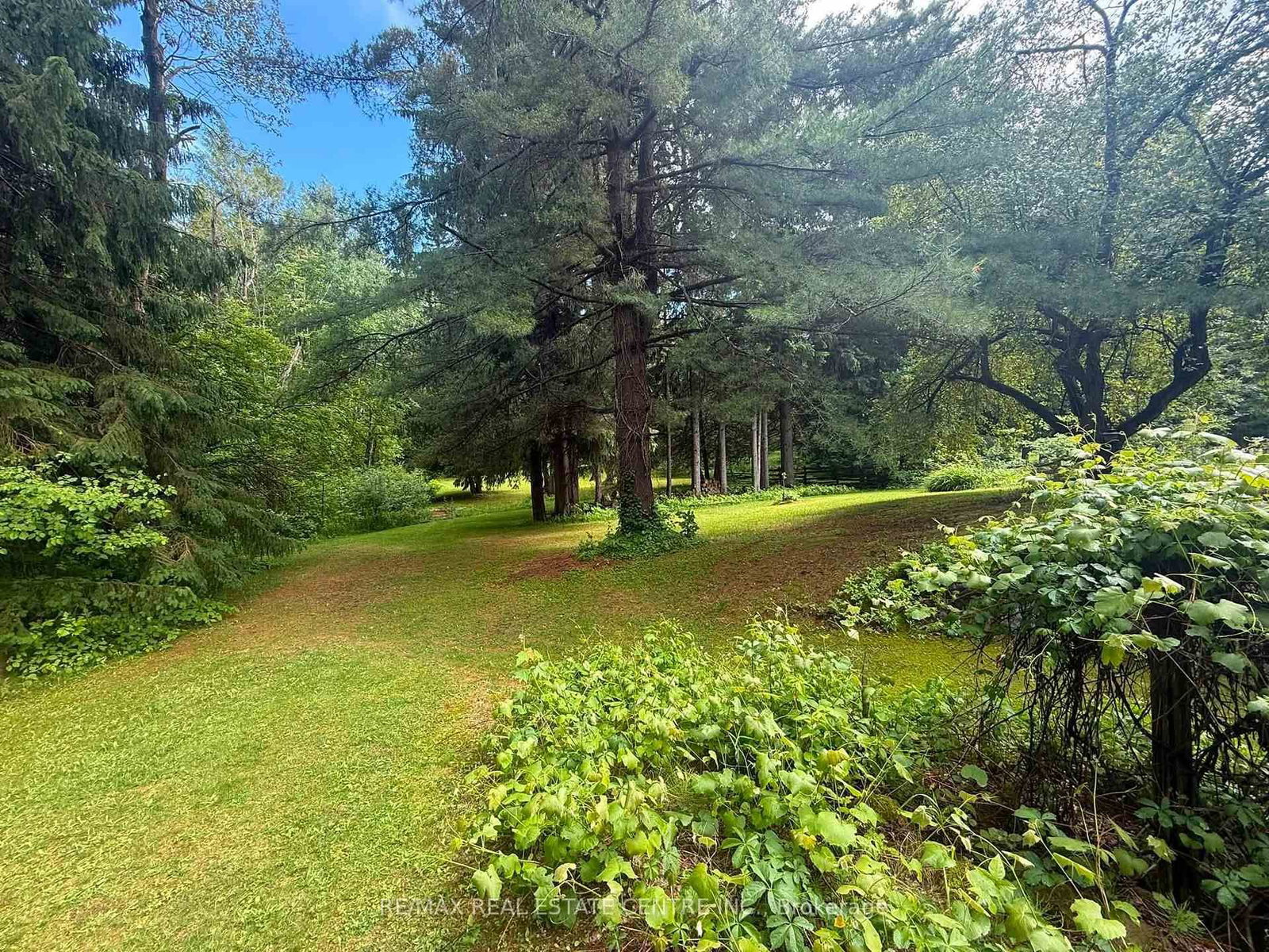 21 Mccutcheon Road • Mulmur, ON photo 21