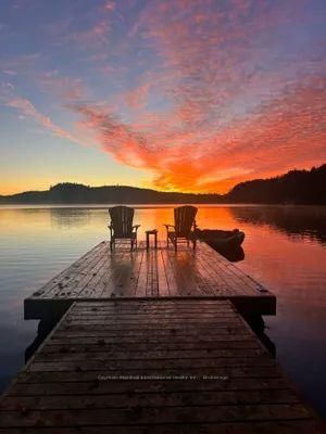 1011 White Pine Road