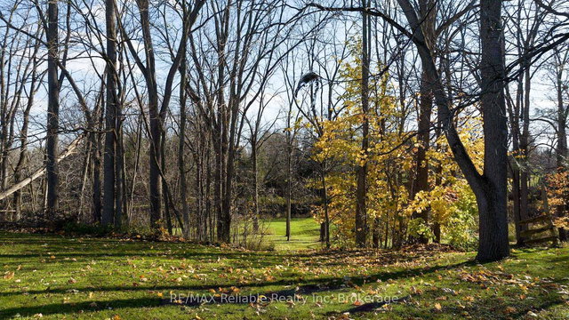 PT LT107 VICTORIA Terrace